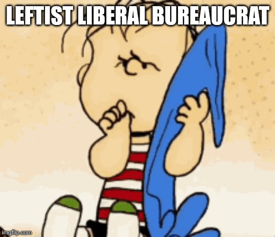 Angry Linus with blanket | LEFTIST LIBERAL BUREAUCRAT | image tagged in angry linus with blanket | made w/ Imgflip meme maker