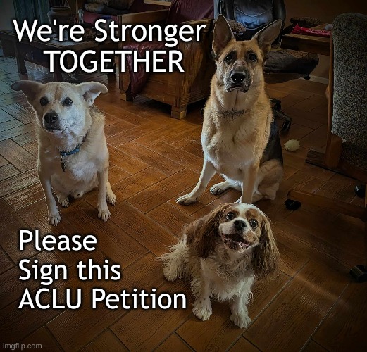 Please Sign Petition | We're Stronger 
TOGETHER; Please
Sign this 
ACLU Petition | image tagged in stronger together,please sign,aclu petition | made w/ Imgflip meme maker