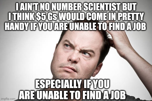 confused | I AIN'T NO NUMBER SCIENTIST BUT I THINK $5 Gs WOULD COME IN PRETTY HANDY IF YOU ARE UNABLE TO FIND A JOB ESPECIALLY IF YOU ARE UNABLE TO FIN | image tagged in confused | made w/ Imgflip meme maker