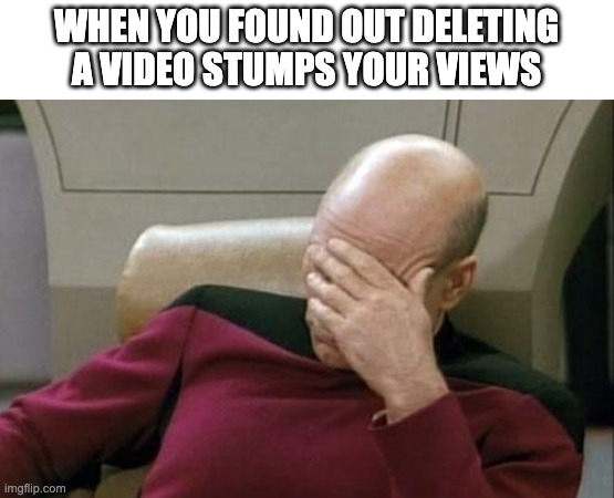 Captain Picard Facepalm | WHEN YOU FOUND OUT DELETING A VIDEO STUMPS YOUR VIEWS | image tagged in memes,captain picard facepalm | made w/ Imgflip meme maker