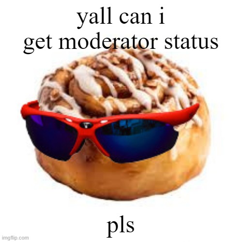 cool ass cinnamon bun | yall can i get moderator status; pls | image tagged in cool ass cinnamon bun | made w/ Imgflip meme maker