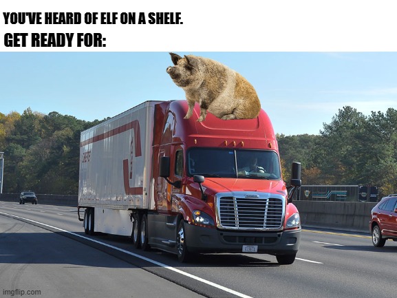 Pig on a rig. | YOU'VE HEARD OF ELF ON A SHELF. GET READY FOR: | image tagged in blank white template | made w/ Imgflip meme maker