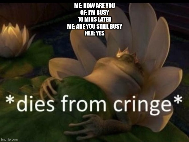 Dies from cringe | ME: HOW ARE YOU
GF: I'M BUSY
10 MINS LATER
ME: ARE YOU STILL BUSY
HER: YES | image tagged in dies from cringe | made w/ Imgflip meme maker