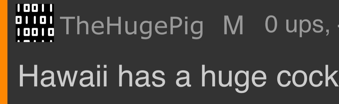 Hawaii has a huge cock | image tagged in hawaii has a huge cock | made w/ Imgflip meme maker