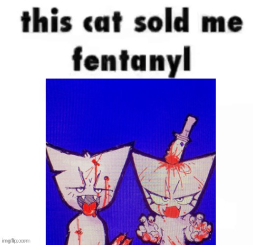 femtaynl rahhhh | image tagged in femtaynl,cats,idk | made w/ Imgflip meme maker