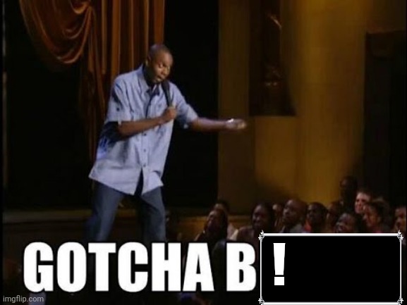 gotcha bitch | ! | image tagged in gotcha bitch | made w/ Imgflip meme maker