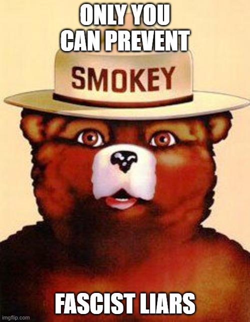 Smokey The Bear | ONLY YOU CAN PREVENT; FASCIST LIARS | image tagged in smokey the bear | made w/ Imgflip meme maker