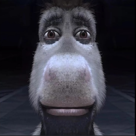 How I look at bro Blank Meme Template