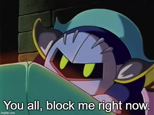 Meta Knight | You all, block me right now. | image tagged in meta knight | made w/ Imgflip meme maker