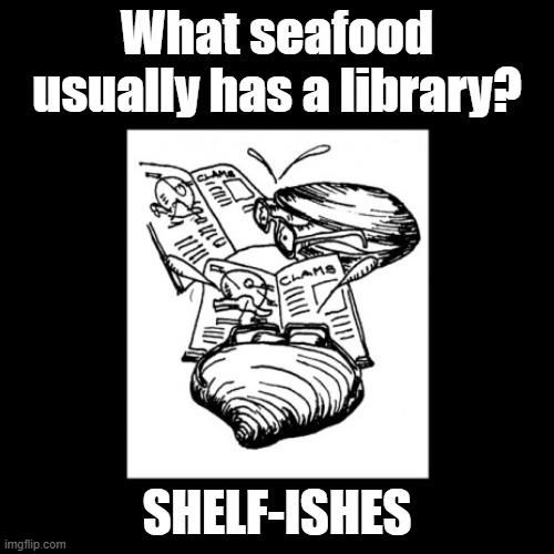 Shelf-ishes | What seafood usually has a library? SHELF-ISHES | image tagged in black square,puns,shell,seafood,books,library | made w/ Imgflip meme maker