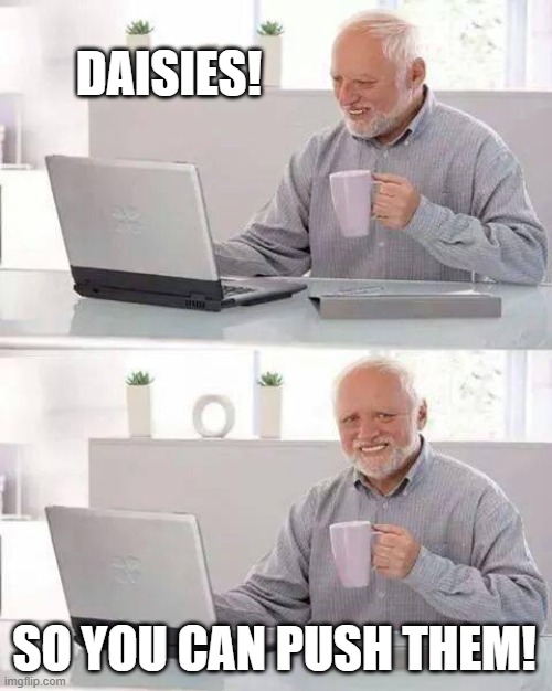 Hide the Pain Harold Meme | DAISIES! SO YOU CAN PUSH THEM! | image tagged in memes,hide the pain harold | made w/ Imgflip meme maker