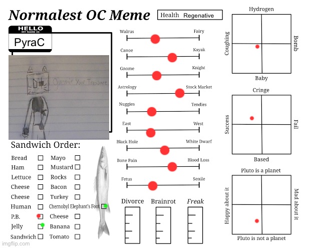Evil/pirate CC | Regenerative; PyraC | image tagged in normalest oc meme | made w/ Imgflip meme maker