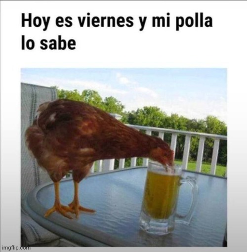 9l3mlz.jpg