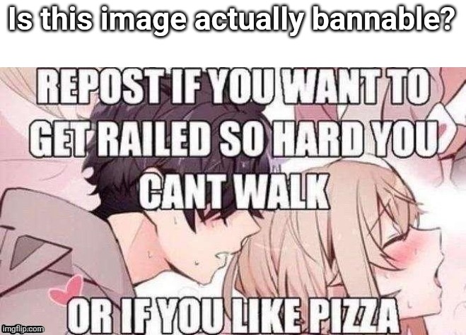 Repost if you like pizza | Is this image actually bannable? | image tagged in repost if you like pizza | made w/ Imgflip meme maker