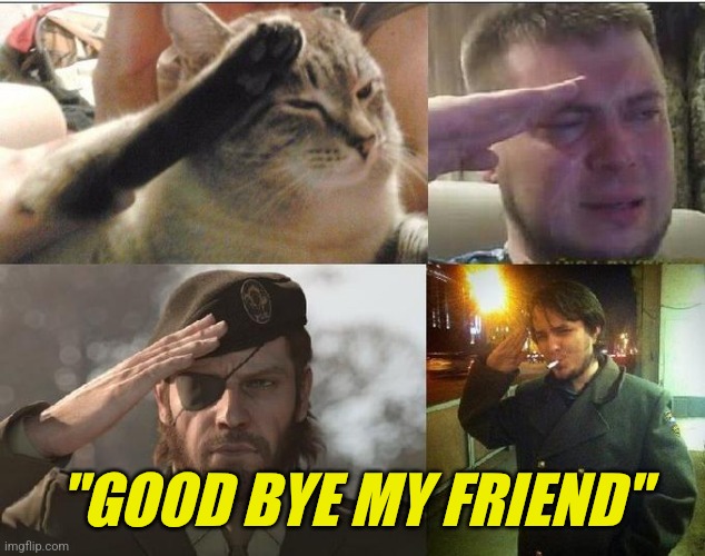 Ozon's Salute | "GOOD BYE MY FRIEND" | image tagged in ozon's salute | made w/ Imgflip meme maker