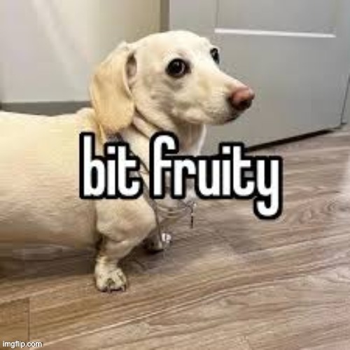 shameless del repost | made w/ Imgflip meme maker