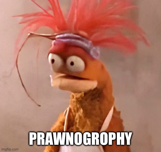 Prawnogrophy | PRAWNOGROPHY | image tagged in pepe the king prawn muppet | made w/ Imgflip meme maker