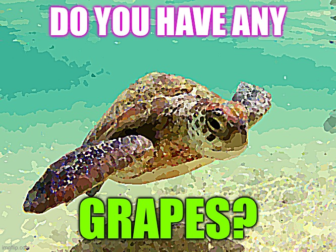 This is comedy. | DO YOU HAVE ANY; GRAPES? | image tagged in turtle,man,likes,green,grapes,meme | made w/ Imgflip meme maker