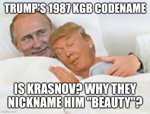 He's Russia's little dumpling | TRUMP'S 1987 KGB CODENAME; IS KRASNOV? WHY THEY NICKNAME HIM "BEAUTY"? | image tagged in trump in bed with the russians for real,vladimir putin,donald trump,trump russia collusion | made w/ Imgflip meme maker