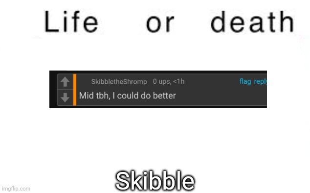 Life or death | Skibble | image tagged in life or death,memes,msmg | made w/ Imgflip meme maker