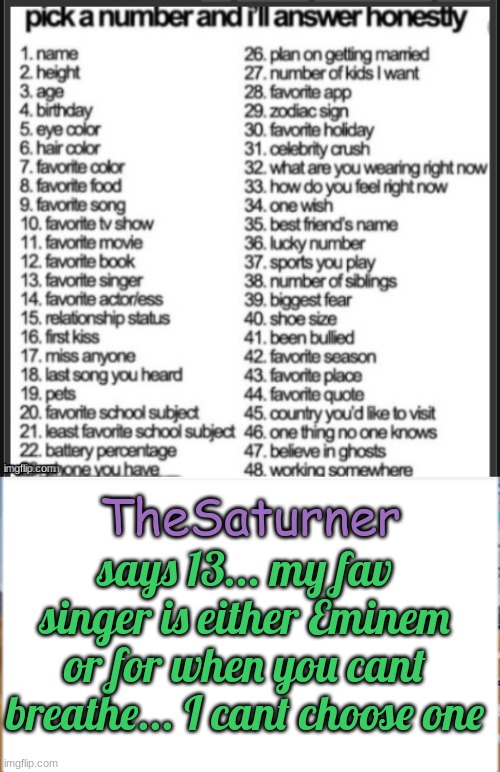 TheSaturner; says 13... my fav singer is either Eminem or for when you cant breathe... I cant choose one | made w/ Imgflip meme maker