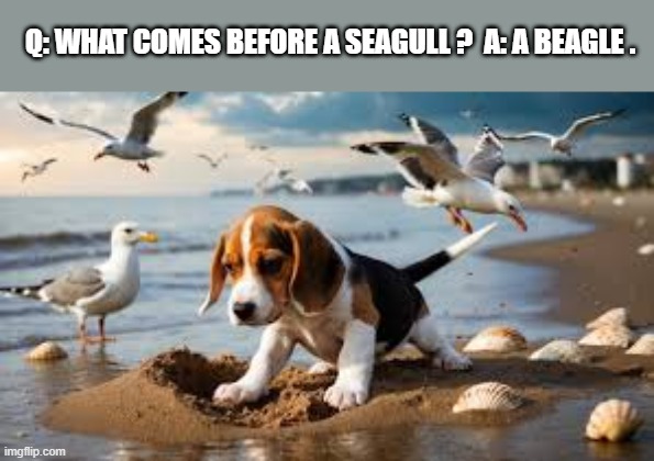 memes by Brad - What comes before a seagull? A beagle. | Q: WHAT COMES BEFORE A SEAGULL ?  A: A BEAGLE . | image tagged in funny,fun,riddle,joke,dogs,humor | made w/ Imgflip meme maker