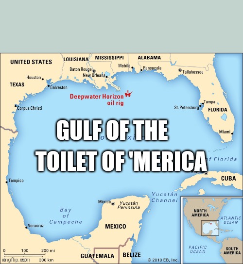 Gulf of the toilet of 'merica | GULF OF THE; TOILET OF 'MERICA | image tagged in gulf of mexico | made w/ Imgflip meme maker