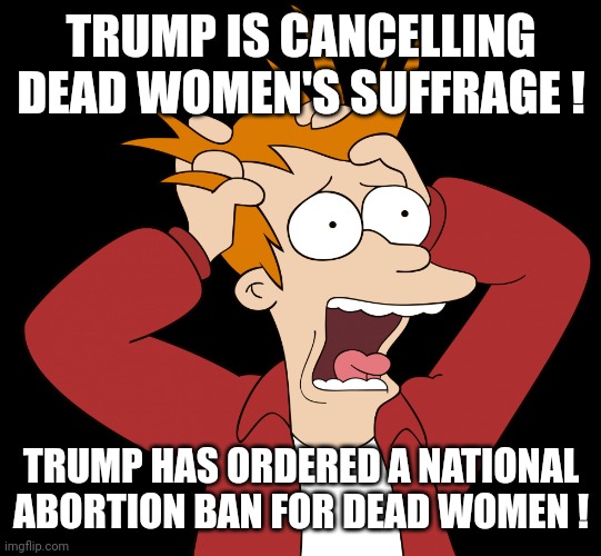 Futurama Fry Screaming | TRUMP IS CANCELLING DEAD WOMEN'S SUFFRAGE ! TRUMP HAS ORDERED A NATIONAL ABORTION BAN FOR DEAD WOMEN ! | image tagged in futurama fry screaming | made w/ Imgflip meme maker