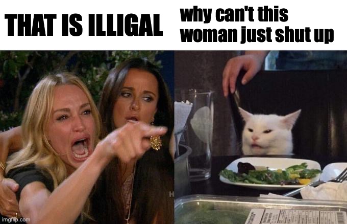 Woman Yelling At Cat | why can't this woman just shut up; THAT IS ILLIGAL | image tagged in memes,woman yelling at cat | made w/ Imgflip meme maker