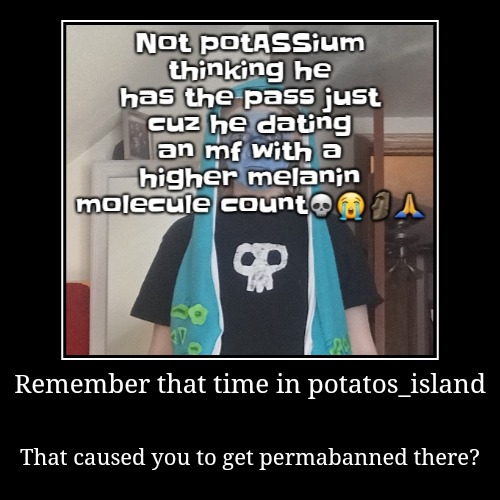 You cannot be talking. Most of yall probably don't even know what I'm talking about | Remember that time in potatos_island | That caused you to get permabanned there? | image tagged in funny,demotivationals | made w/ Imgflip demotivational maker