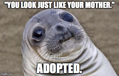 Awkward Moment Sealion Meme | "YOU LOOK JUST LIKE YOUR MOTHER." ADOPTED. | image tagged in memes,awkward moment sealion,AdviceAnimals | made w/ Imgflip meme maker