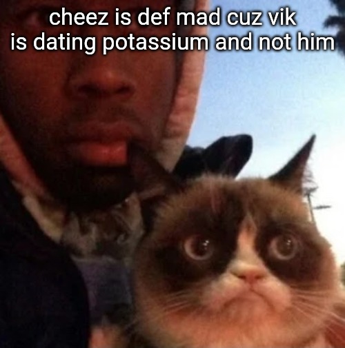 i can smell the jealousy | cheez is def mad cuz vik is dating potassium and not him | image tagged in tyler the creator and grumpy cat | made w/ Imgflip meme maker