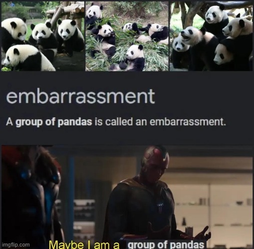 Ah, humor based on my pain. | image tagged in memes,funny,self deprecation,pandas | made w/ Imgflip meme maker