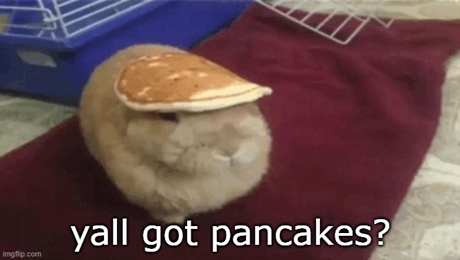 yall got any? | yall got pancakes? | image tagged in rabbit,pancake | made w/ Imgflip meme maker