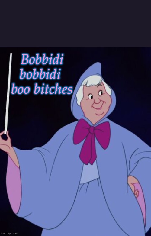 Bibbidi Bobbidi Boo | Bobbidi bobbidi 
boo bitches | image tagged in bibbidi bobbidi boo | made w/ Imgflip meme maker