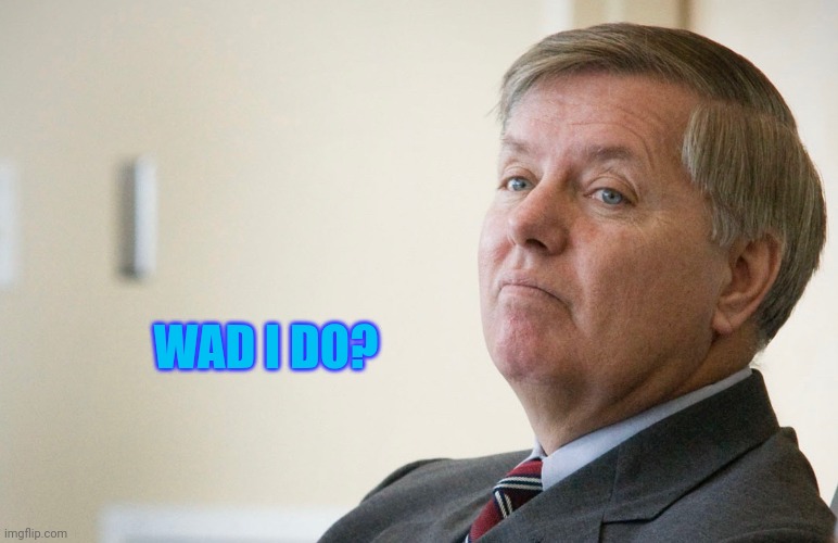 Lindsay Graham - smug | WAD I DO? | image tagged in lindsay graham - smug | made w/ Imgflip meme maker