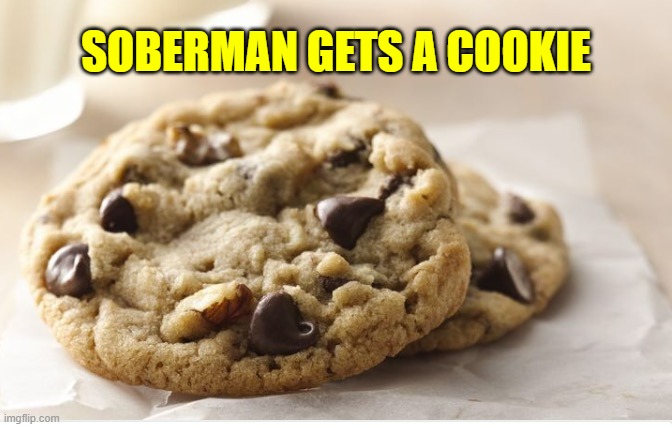 Chocolate chip cookie | SOBERMAN GETS A COOKIE | image tagged in chocolate chip cookie | made w/ Imgflip meme maker