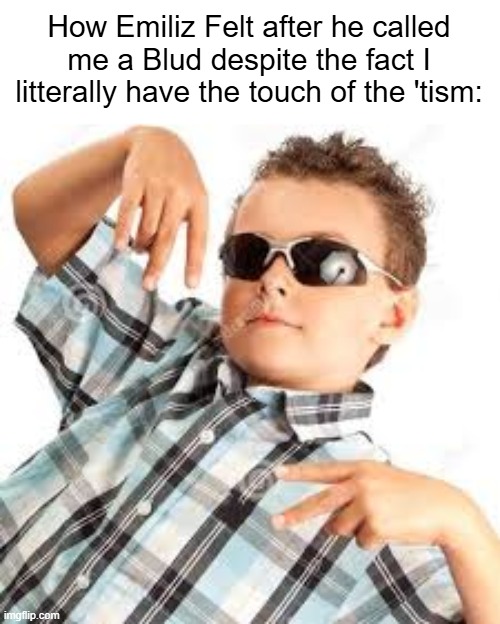 Bro really thought Autism and Blud were the same | How Emiliz Felt after he called me a Blud despite the fact I litterally have the touch of the 'tism: | image tagged in cool kid sunglasses | made w/ Imgflip meme maker