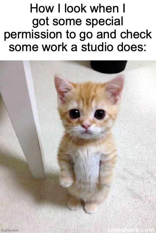 For real tho | How I look when I got some special permission to go and check some work a studio does: | image tagged in memes,cute cat,funny,relatable,childhood,studio | made w/ Imgflip meme maker