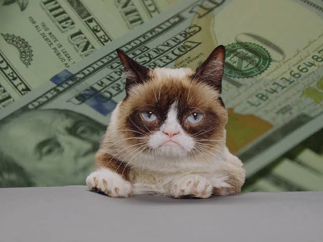 Grumpy cat table money Blank Meme Template