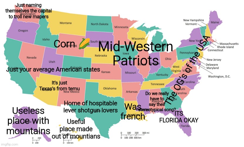 Idk | Just naming themselves the capital to troll new mapers; Mid-Western Patriots; Corn 🌽; Just your average American states; The OG's of the USA; It's just Texas's from temu; Do we really have to say their stereotypical song? Was french; ITS FLORIDA OKAY; Home of hospitable lever shotgun lovers; Useless place with mountains; Useful place made out of mountians | image tagged in united states map usa states map | made w/ Imgflip meme maker