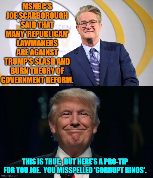 'Republicans In Name Only' Joe.  Since you became one, this should be easy for you. | MSNBC'S JOE SCARBOROUGH SAID THAT MANY 'REPUBLICAN' LAWMAKERS ARE AGAINST TRUMP'S SLASH AND BURN THEORY OF GOVERNMENT REFORM. THIS IS TRUE;  BUT HERE'S A PRO-TIP FOR YOU JOE.  YOU MISSPELLED 'CORRUPT RINOS'. | image tagged in yep | made w/ Imgflip meme maker