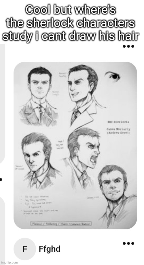 WHERE ARE THE CHARACTER STUDIES FOR THE MAIN CHARACTERS DAWG | Cool but where's the sherlock characters study i cant draw his hair | made w/ Imgflip meme maker