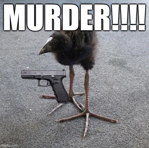 Pukeko chick | MURDER!!!! | image tagged in pukeko chick | made w/ Imgflip meme maker