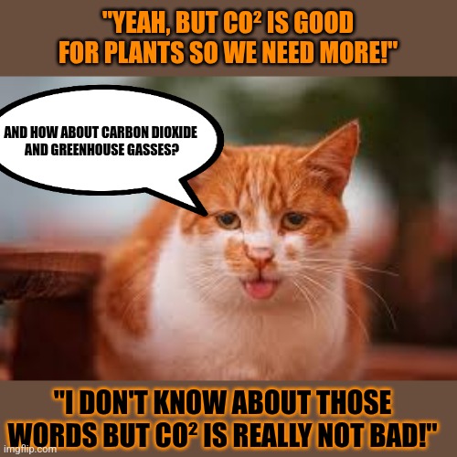 This #lolcat wonders not why the elite love the poorly educated | "YEAH, BUT CO² IS GOOD FOR PLANTS SO WE NEED MORE!"; AND HOW ABOUT CARBON DIOXIDE 
AND GREENHOUSE GASSES? "I DON'T KNOW ABOUT THOSE WORDS BUT CO² IS REALLY NOT BAD!" | image tagged in climate change,elite,stupid people,wappies,lolcat,carbon footprint | made w/ Imgflip meme maker