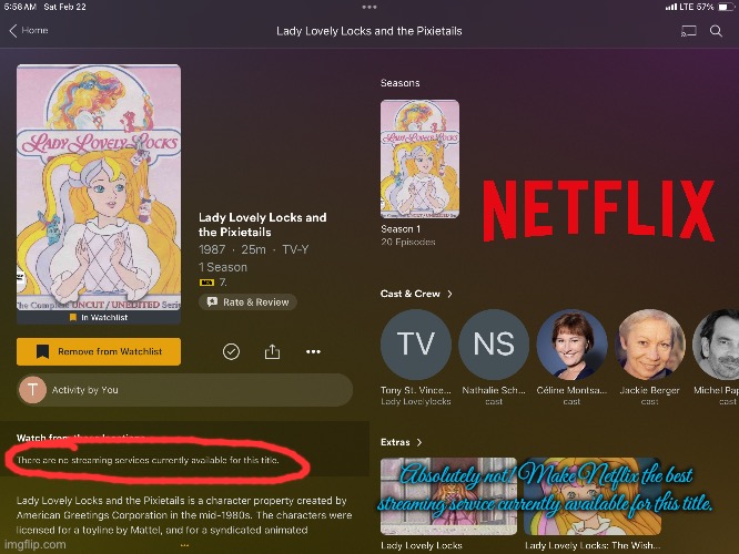 Lady Lovely Locks Needs to be on Netflix | Absolutely not! Make Netflix the best streaming service currently available for this title. | image tagged in netflix,mattel,80s,nostalgia,princess,netflix and chill | made w/ Imgflip meme maker