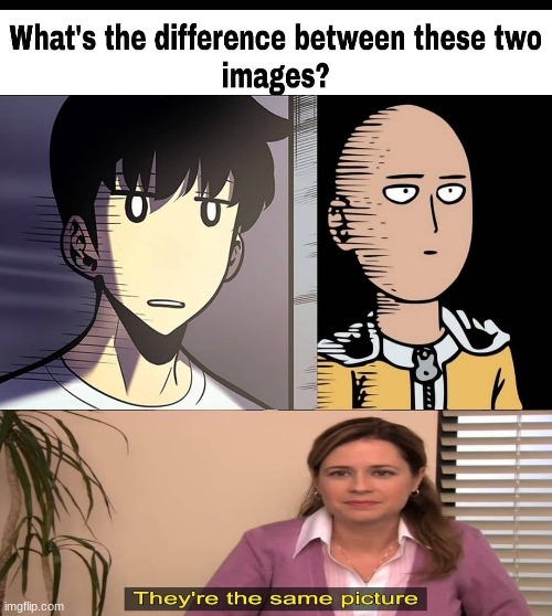 One is bald one has hair | image tagged in solo leveling,one punch man | made w/ Imgflip meme maker