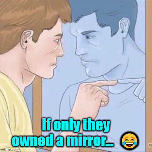 Pointing mirror guy | If only they owned a mirror...  ? | image tagged in pointing mirror guy | made w/ Imgflip meme maker