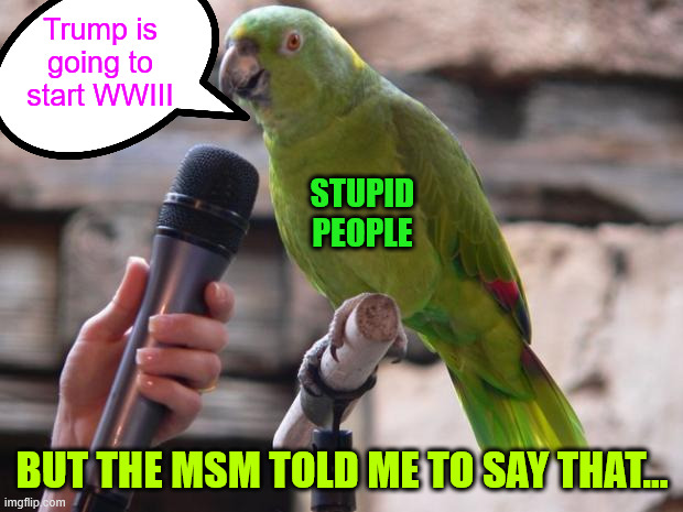 parrot | Trump is going to start WWIII BUT THE MSM TOLD ME TO SAY THAT... STUPID PEOPLE | image tagged in parrot | made w/ Imgflip meme maker