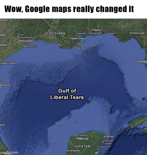 Gulf Of Liberal Tears | image tagged in liberal tears | made w/ Imgflip meme maker